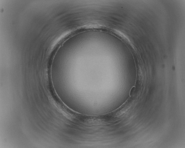 X0000075870535200610062005