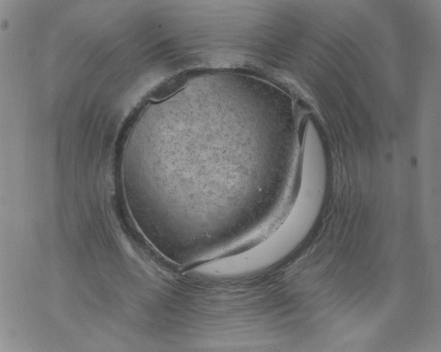 X0000075870536200610062005