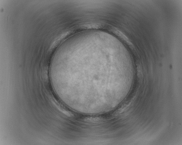 X0000075870537200610062005