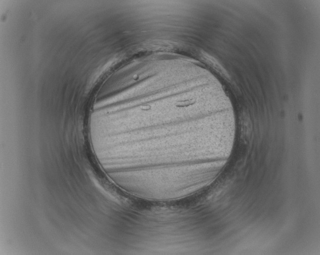 X0000075870538200610062005