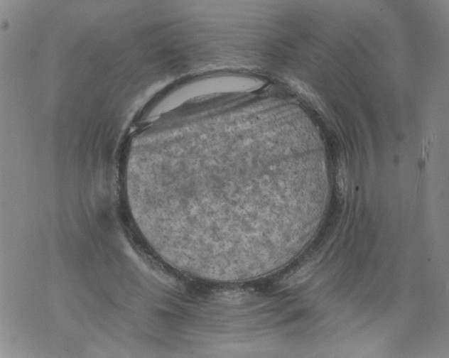 X0000075870540200610062005