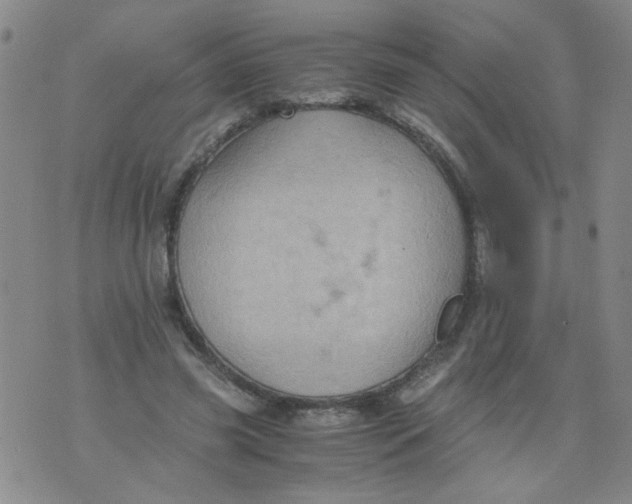 X0000075870541200610062005