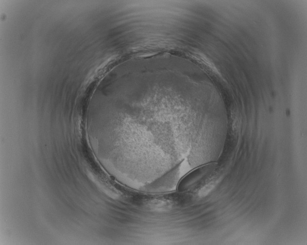 X0000075870542200610062005