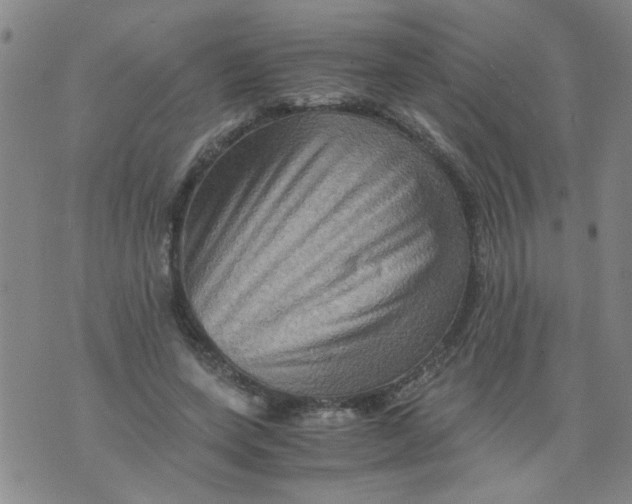 X0000075870543200610062005