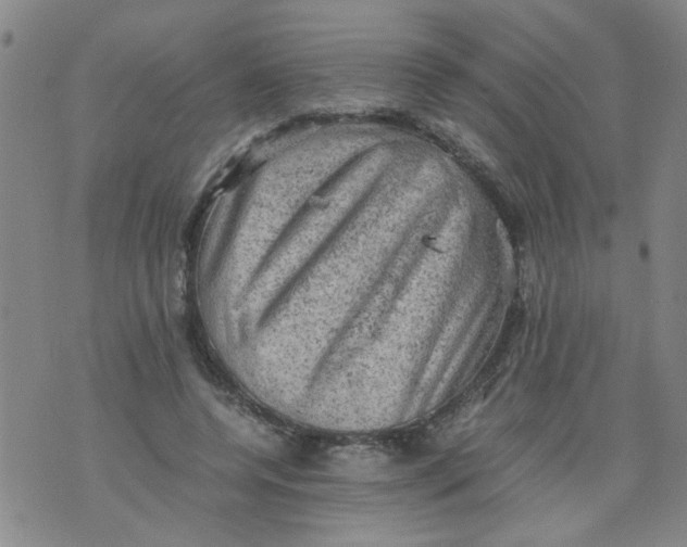 X0000075870544200610062005