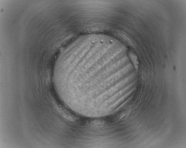 X0000075870546200610062005