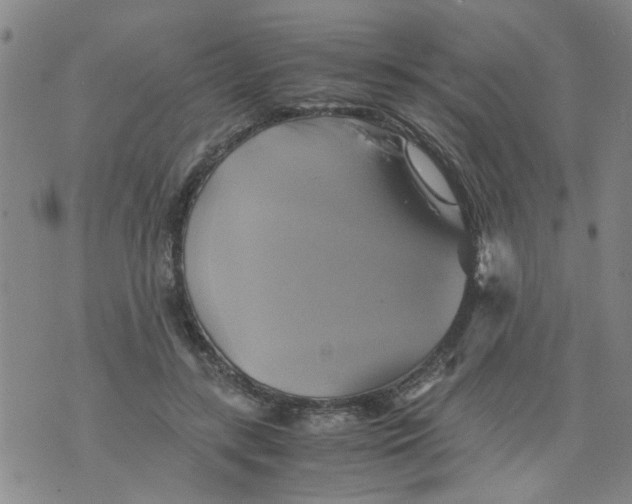 X0000075870547200610062005