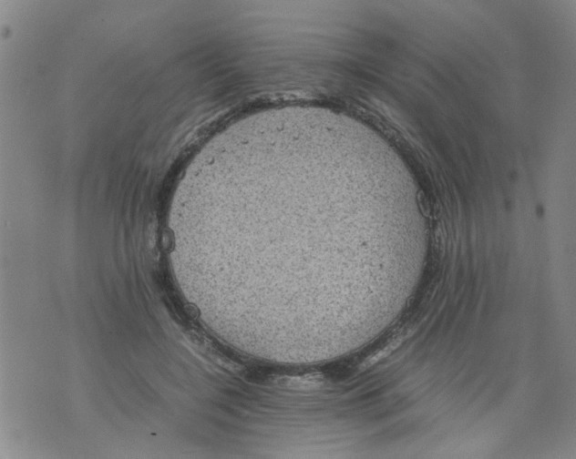 X0000075870548200610062005