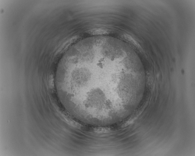 X0000075870549200610062005