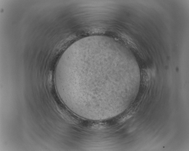 X0000075870550200610062005