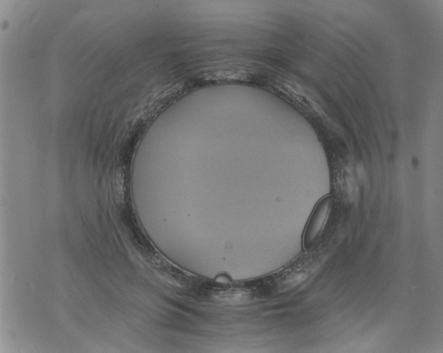 X0000075870551200610062005