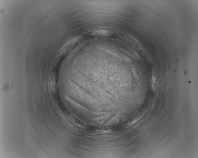 X0000075870552200610062005