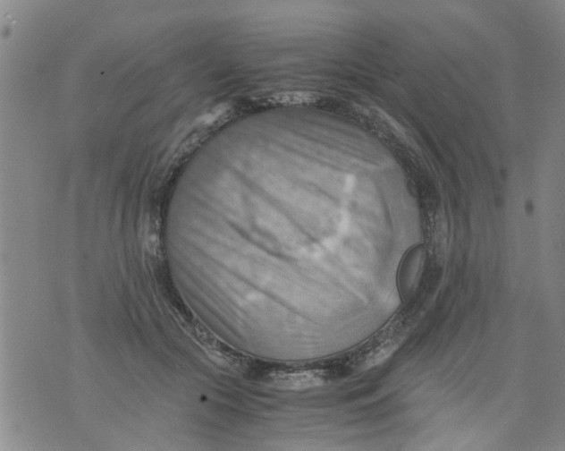 X0000075870553200610062005