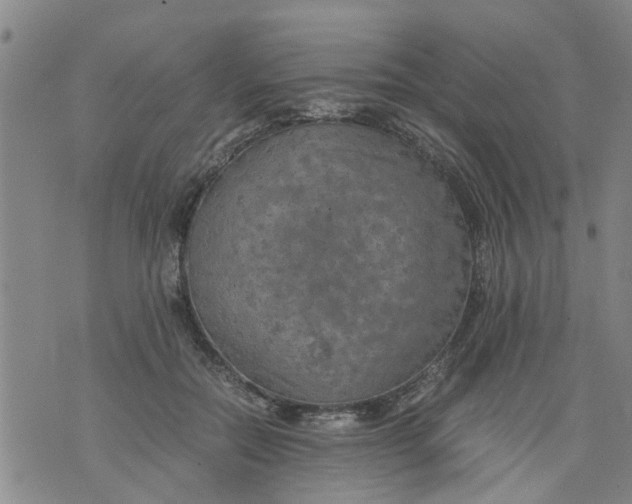 X0000075870554200610062005