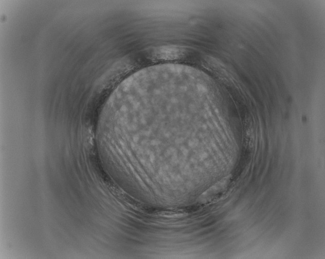 X0000075870555200610062005