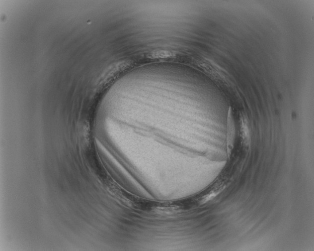 X0000075870556200610062005