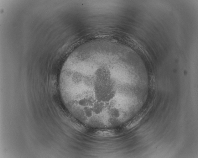 X0000075870557200610062005