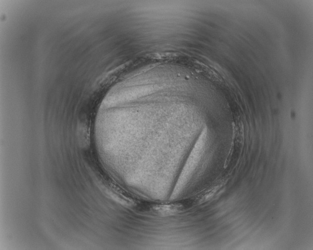 X0000075870558200610062005