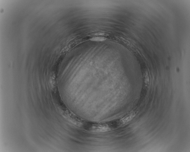 X0000075870559200610062005