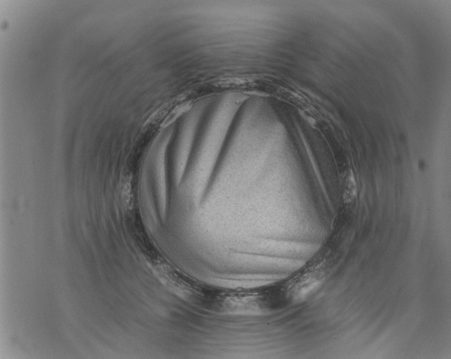 X0000075870560200610062005