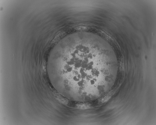 X0000075870561200610062005