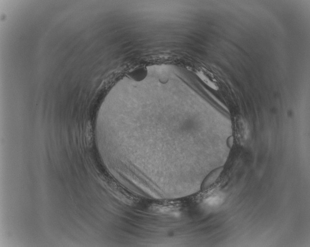 X0000075870563200610062005