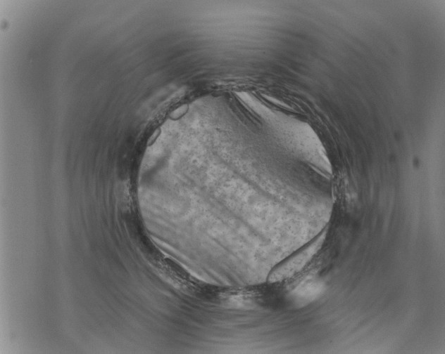 X0000075870564200610062005