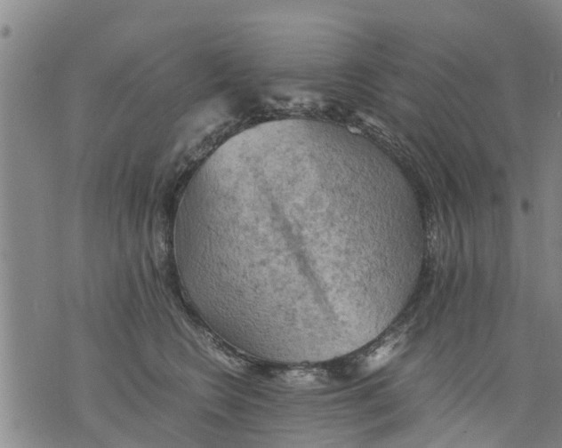 X0000075870566200610062005