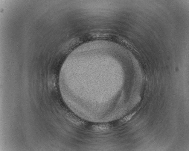 X0000075870567200610062005