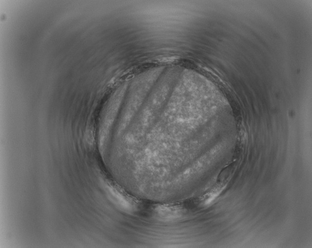 X0000075870568200610062005