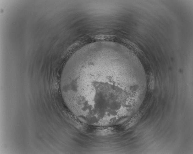 X0000075870569200610062005