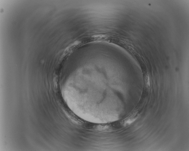 X0000075870570200610062005