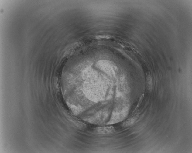 X0000075870571200610062006