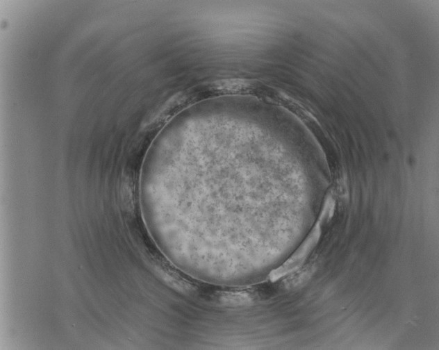 X0000075870572200610062006