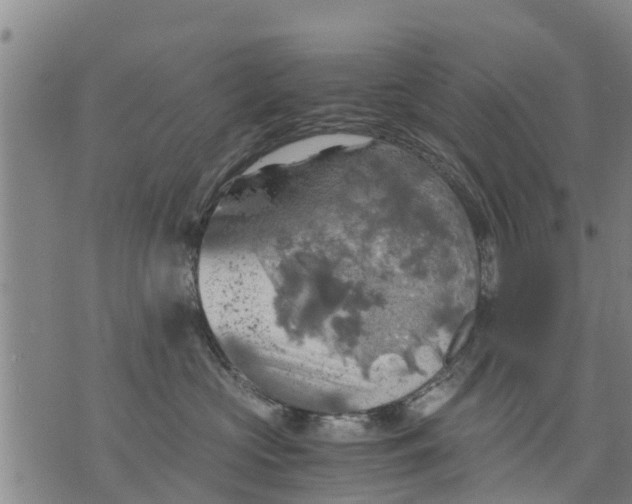 X0000075870573200610062006