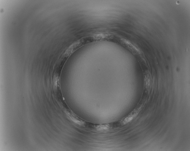 X0000075870574200610062006