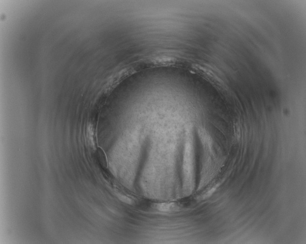 X0000075870575200610062006