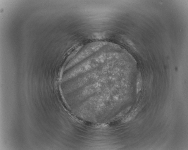 X0000075870576200610062006