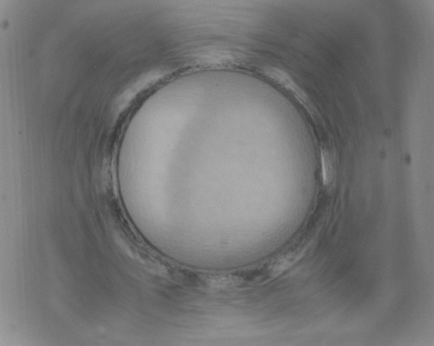 X0000075870579200610062005