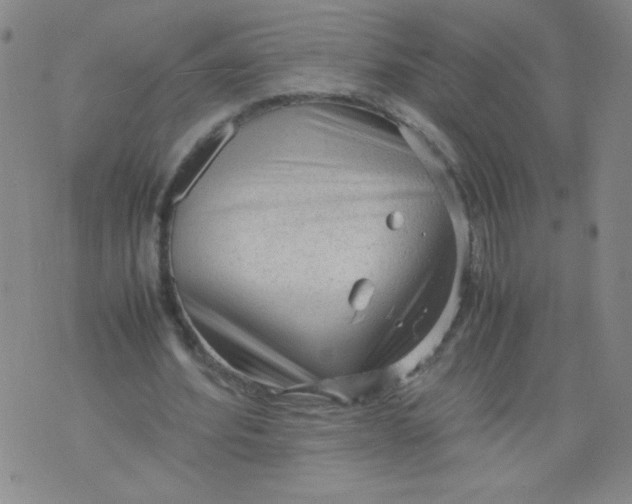 X0000075870580200610062005