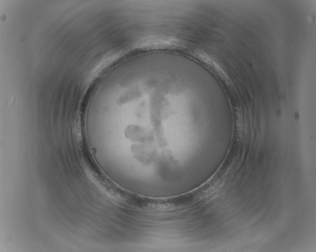 X0000075870582200610062005