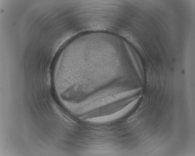 X0000075870584200610062005