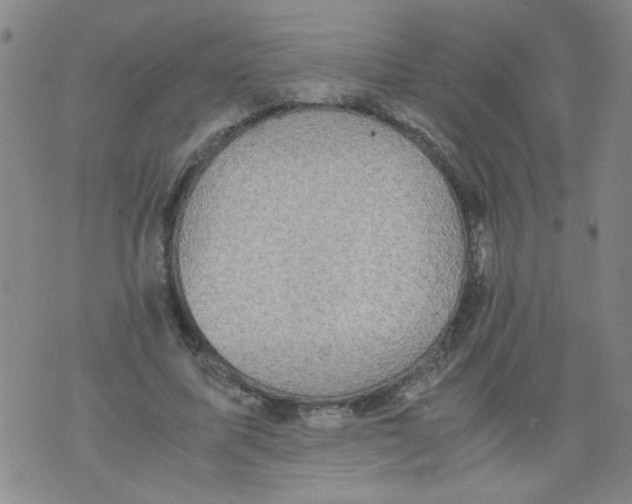 X0000075870587200610062005