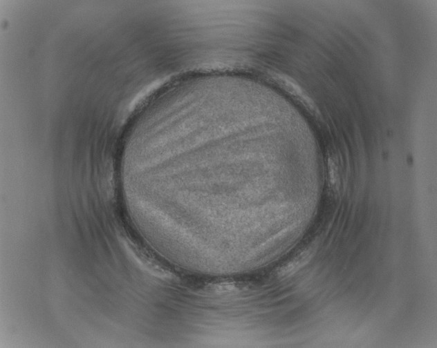 X0000075870588200610062005