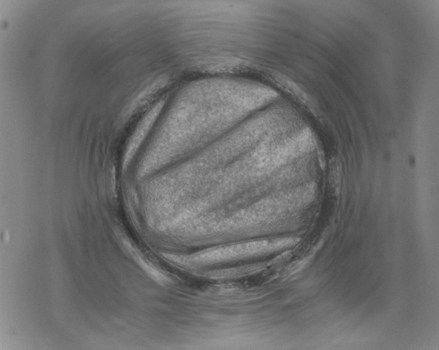 X0000075870589200610062005