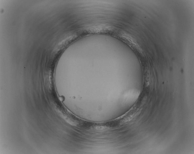 X0000075870590200610062005