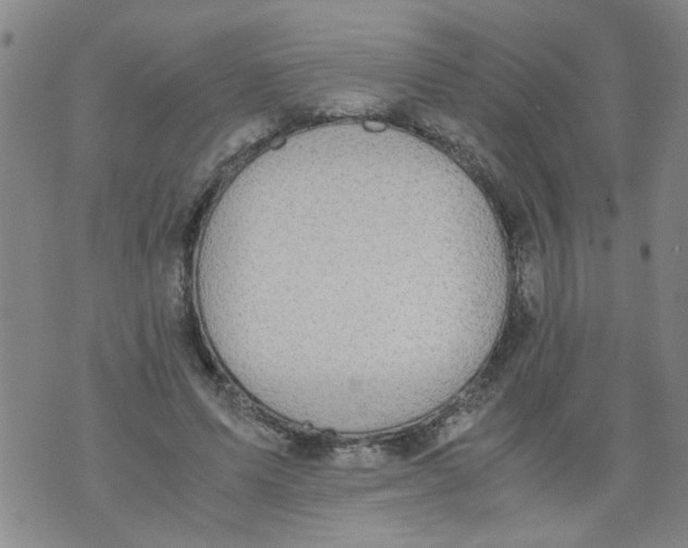 X0000075870591200610062005