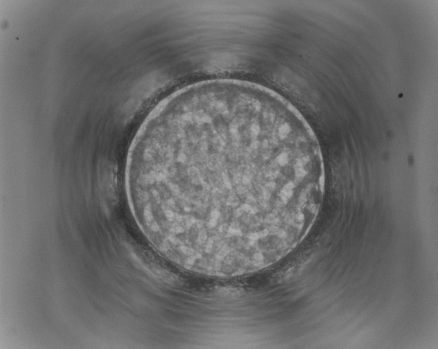 X0000075870592200610062005