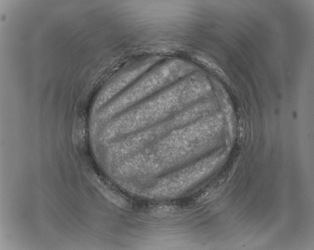 X0000075870593200610062005