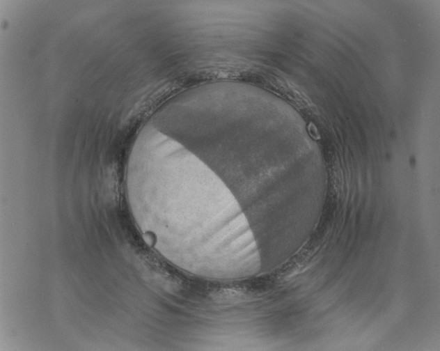 X0000075870594200610062005